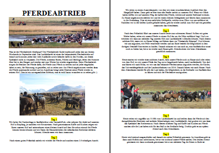 pdf pferdeabtrieb